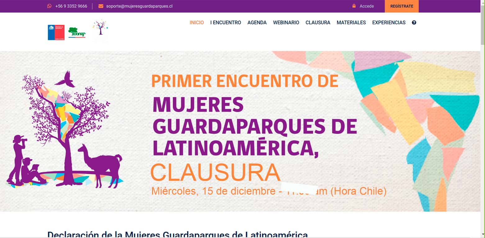 Sistema de eventos online